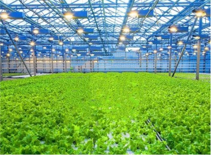 ca888亚洲城(中国)官方网站