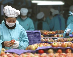 ca888亚洲城(中国)官方网站