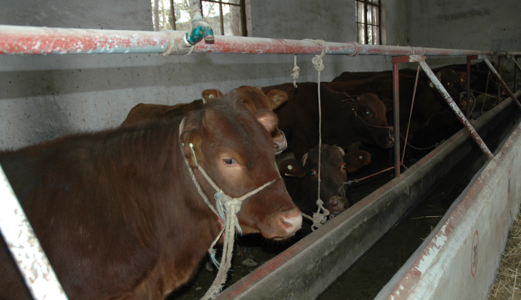 ca888亚洲城(中国)官方网站