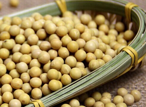 ca888亚洲城(中国)官方网站